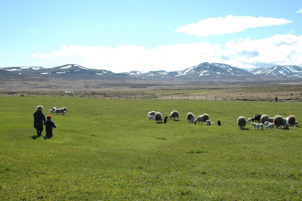 Vila Ytra Lon Farm Retreat Þórshöfn Exteriér fotografie