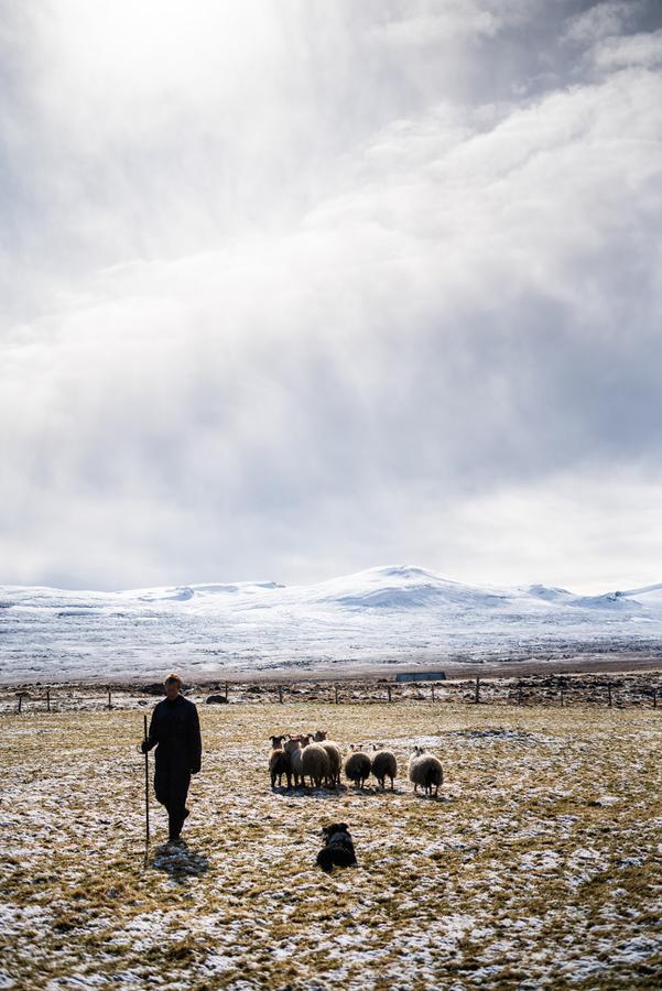 Vila Ytra Lon Farm Retreat Þórshöfn Exteriér fotografie